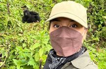 1-Day Rwanda Gorilla Trek & Dian Fossey Experience - Ellen Campus