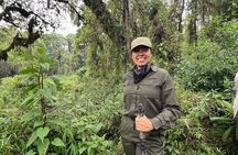 1-Day Rwanda Gorilla Trek & Dian Fossey Experience - Ellen Campus