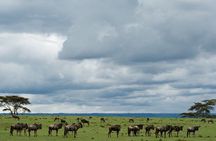 Lake Naivasha Boat Ride and Crescent Island Walking Guided Safari
