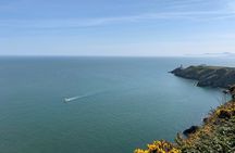 Howth Coastal Tour in Dublin