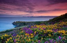 Howth Coastal Tour in Dublin