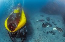 Tenerife Submarine Tour with Los Gigantes Pickup