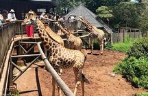 Giraffe Center, Maasai Market and Kobe Beads Center Private Tour