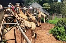 Giraffe Center, Maasai Market and Kobe Beads Center Private Tour