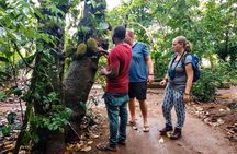 Zanzibar Spice Tour and Cooking Class