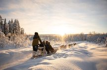 Local Husky Experience with Sled Ride and Photographer