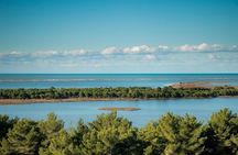 Ancient Apollonia & Karavasta Park Adventure