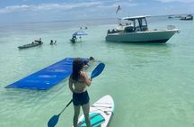 Islamorada Whale Harbor Snorkeling Activity