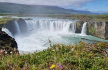 Akureyri Express Gooafoss Waterfall and Akureyri Highlights