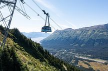 NEW: Turnagain Arm: Glacier Cruise, Wildlife Center & Aerial Tram
