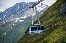 NEW: Turnagain Arm: Glacier Cruise, Wildlife Center & Aerial Tram