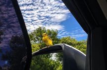 Private tour Galapaguera Cerro Colorado with entrance included