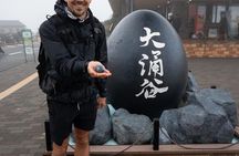 Custom Mount Fuji and Hakone Private Day Tour in Car from Tokyo