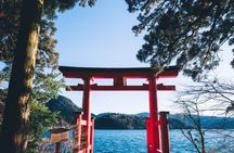 Custom Mount Fuji and Hakone Private Day Tour in Car from Tokyo