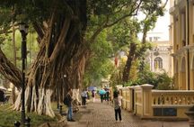 Private Guangzhou Day Tour From Hong Kong by High Speed Rail