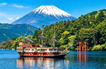 One Day Hakone and Mount Fuji Area Tour from Tokyo