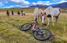 Svarfadadalur Private E MTB Tour