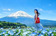 From Tokyo: Mt. Fuji 6 Attractions: Lake Kawaguchi, Oshino Hakkai