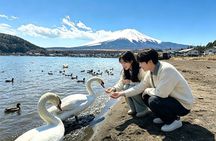 From Tokyo: Mt. Fuji 6 Attractions: Lake Kawaguchi, Oshino Hakkai
