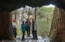Beyond the Map Meet the Guardians of Cave Shrine and Local Food