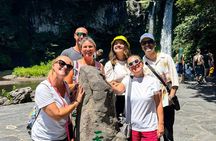 Jeju Island South UNESCO Highlights Day Tour With Mt Halla