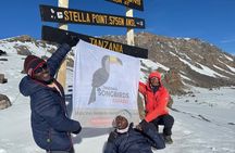 Kilimanjaro Climb via Lemosho Route for 7 Day (All Inclusive)