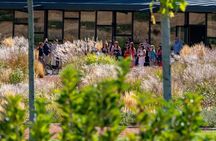 Ribera del Duero Wineries Guided Tour & Wine Tasting from Madrid