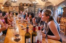 Ribera del Duero Wineries Guided Tour & Wine Tasting from Madrid