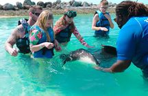 Private Pig, Shark, Turtle and Stingray Adventure Tour in Nassau