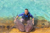 Private Pig, Shark, Turtle and Stingray Adventure Tour in Nassau