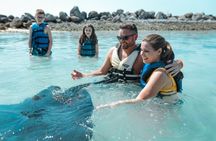 Private Pig, Shark, Turtle and Stingray Adventure Tour in Nassau