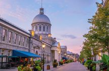 Montreal Guided Tour with Notre Dame Basilica & Mont Royal