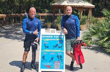 Group Snorkel Tours at Blue Spring State Park