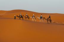 3 Day Marrakech to Merzouga Sahara Desert Tour with Camel Trek