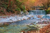 Pozar Thermal Baths Visit and Famous Local Taverna