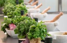 Pesto Experience in Via Garibaldi