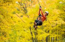 Treetop Trekking Barrie Zipline and Aerial Game Trek