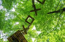 Treetop Trekking Barrie Zipline and Aerial Game Trek