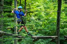 Treetop Trekking Barrie Zipline and Aerial Game Trek