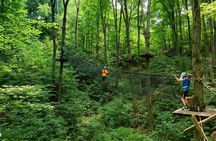 Treetop Trekking Barrie Zipline and Aerial Game Trek