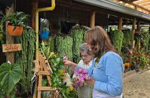Flower Farm & Silletas Tour in Santa Elena Medellin