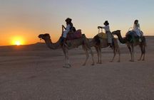 Agafay Sunset Camel Ride and Dinner Show