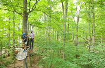 Treetop Trekking Stouffville Zipline and Aerial Game Trek