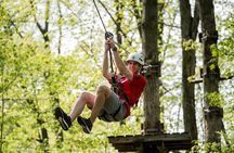 Treetop Trekking Stouffville Zipline and Aerial Game Trek