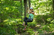 Treetop Trekking Stouffville Zipline and Aerial Game Trek