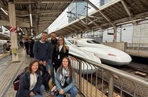Kyoto Day Trip from Tokyo by Bullet Train Private Guided Tour