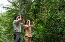 Birdwatching, wildlife and nature in the panama city rainforest