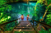 Small-Group 3 Hidden Cenotes Adventure with Tequila Tasting