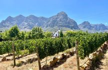 Private: Sip & Explore Stellenbosch Wine Tour