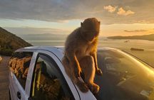 Luxury Private Gibraltar Rock Tour - 5 stops